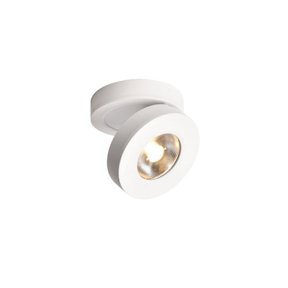 Round Rotating LED Downlight