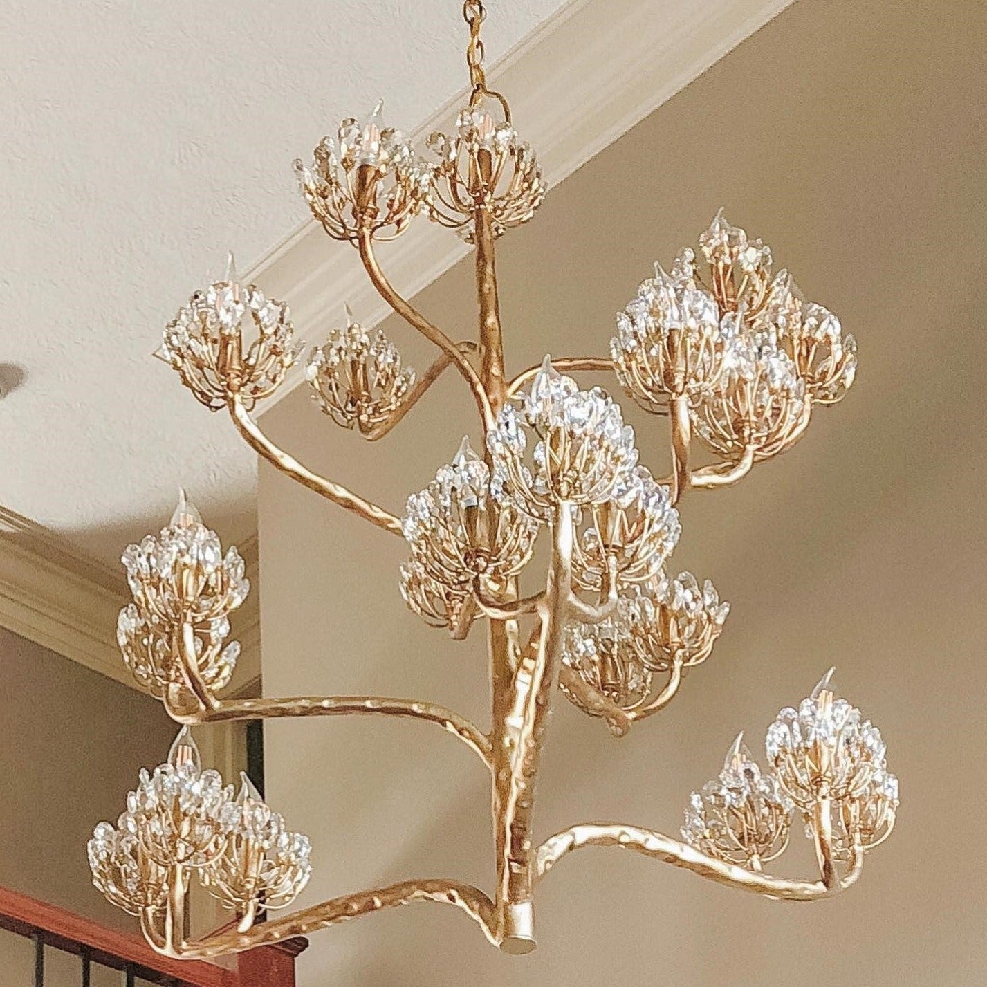 Agave Americana Chandelier