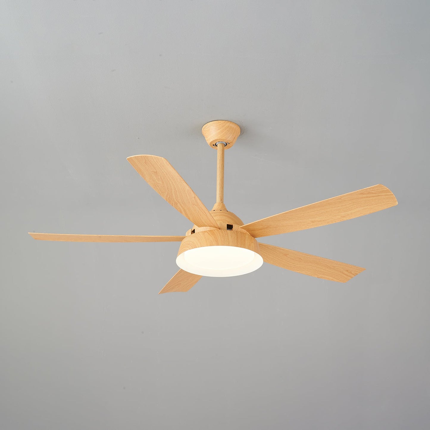 Elysian Ceiling Fan Light