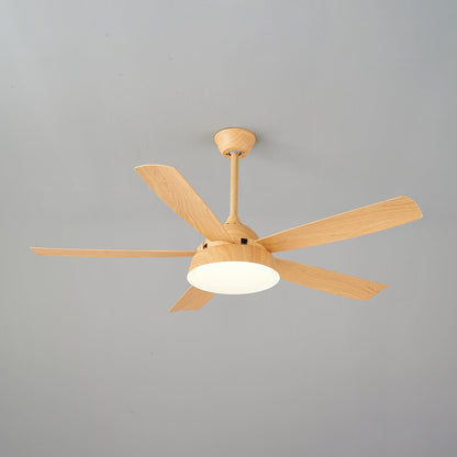 Elysian Ceiling Fan Light