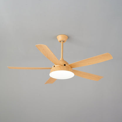 Elysian Ceiling Fan Light