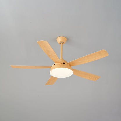Elysian Ceiling Fan Light