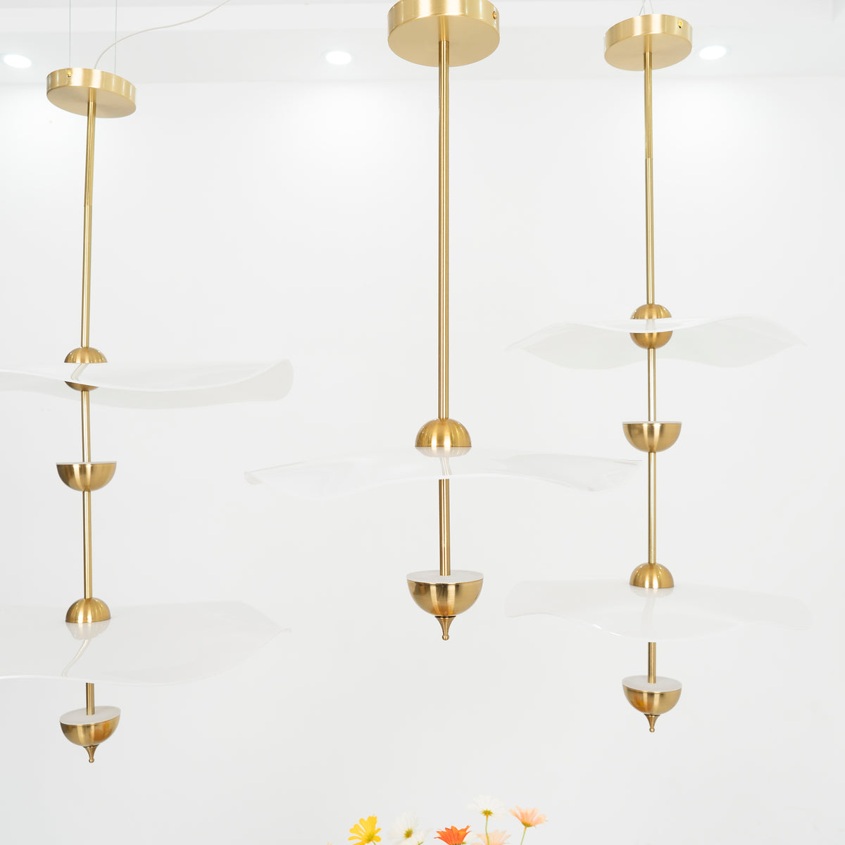 Double Biscuit Pendant Light