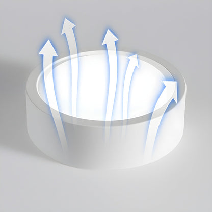 Ethan Surface Ceiling Light