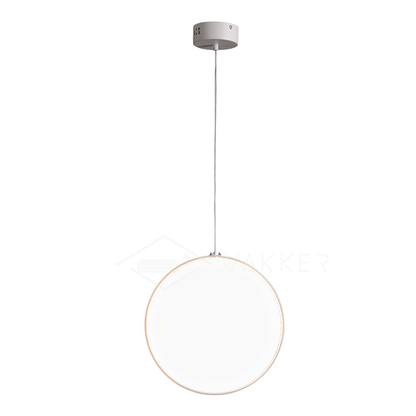 Focus Pendant Light