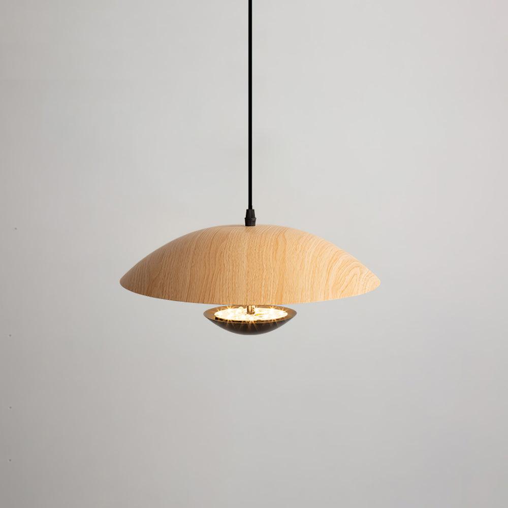 Frisbee Pendant Lamp
