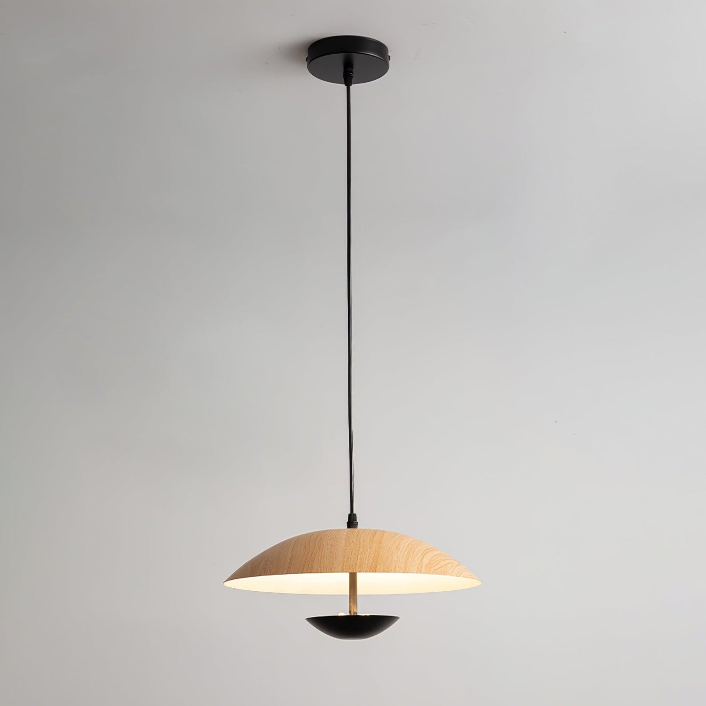 Frisbee Pendant Lamp
