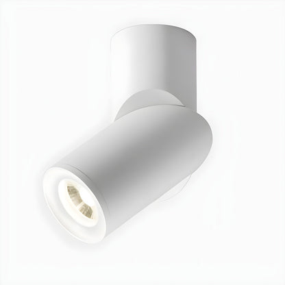 Maxwell Pivot Surface Downlight