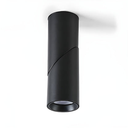 Maxwell Pivot Surface Downlight