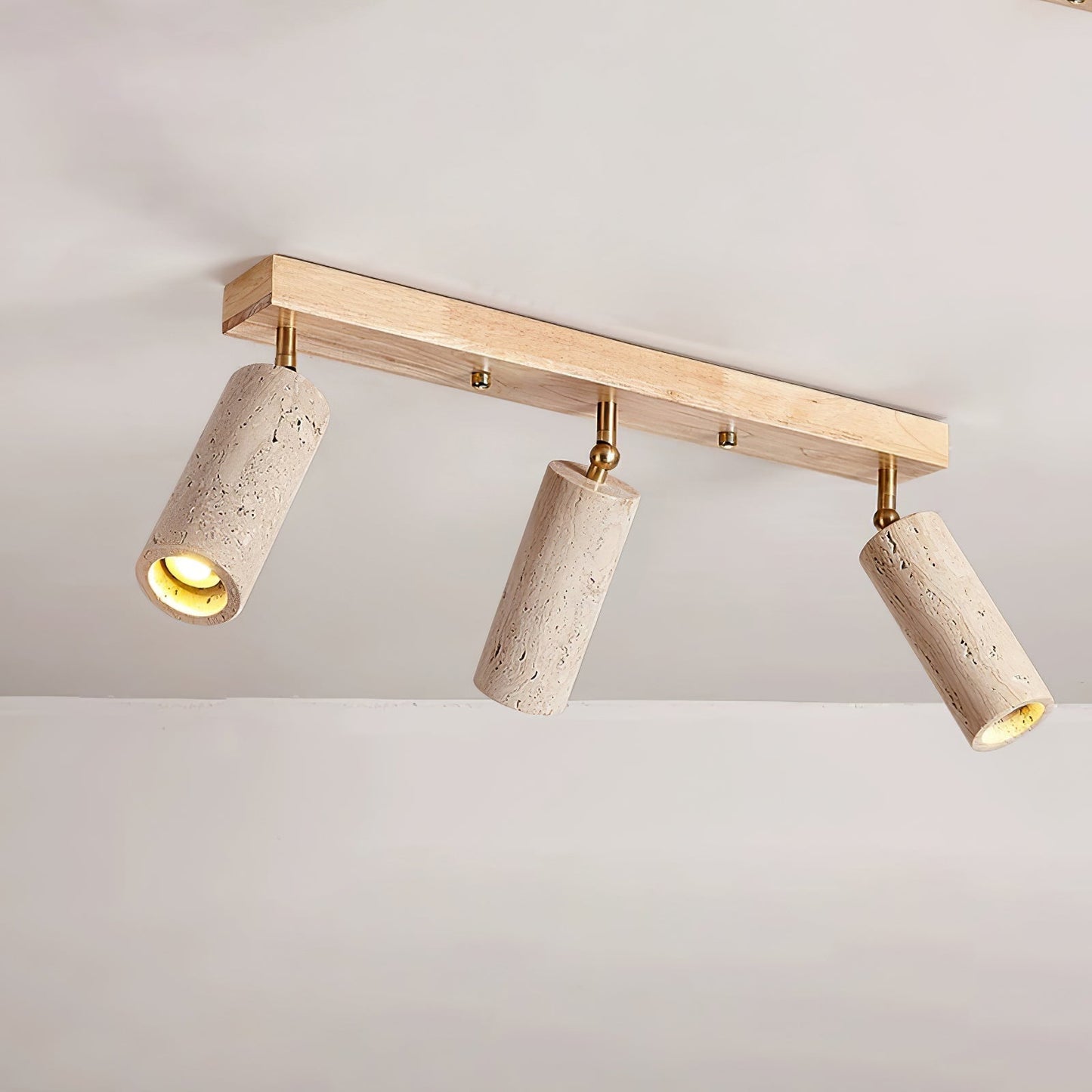 Nimbus Ceiling Spotlight