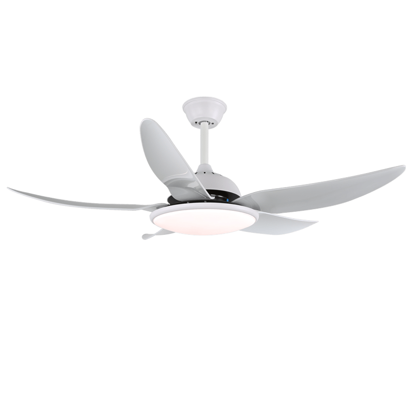 Noctura Ceiling Fan Light