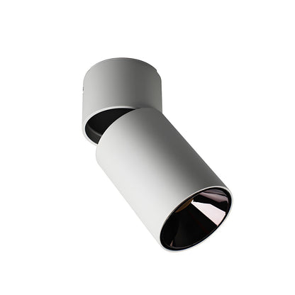 Oliver Tube Surface Downlight