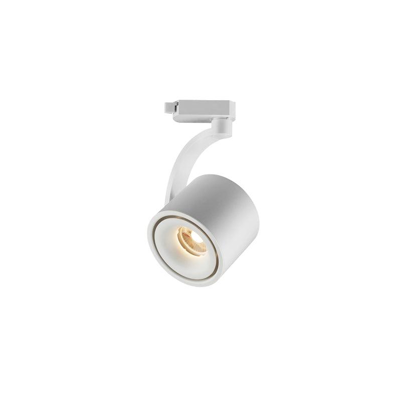 Paloma Ceiling Light