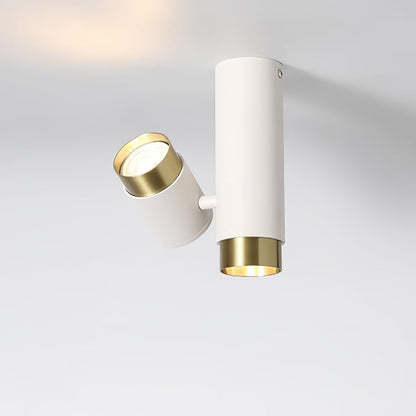 Puma Spotlight Ceiling Light