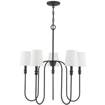 Sanibel Chandelier
