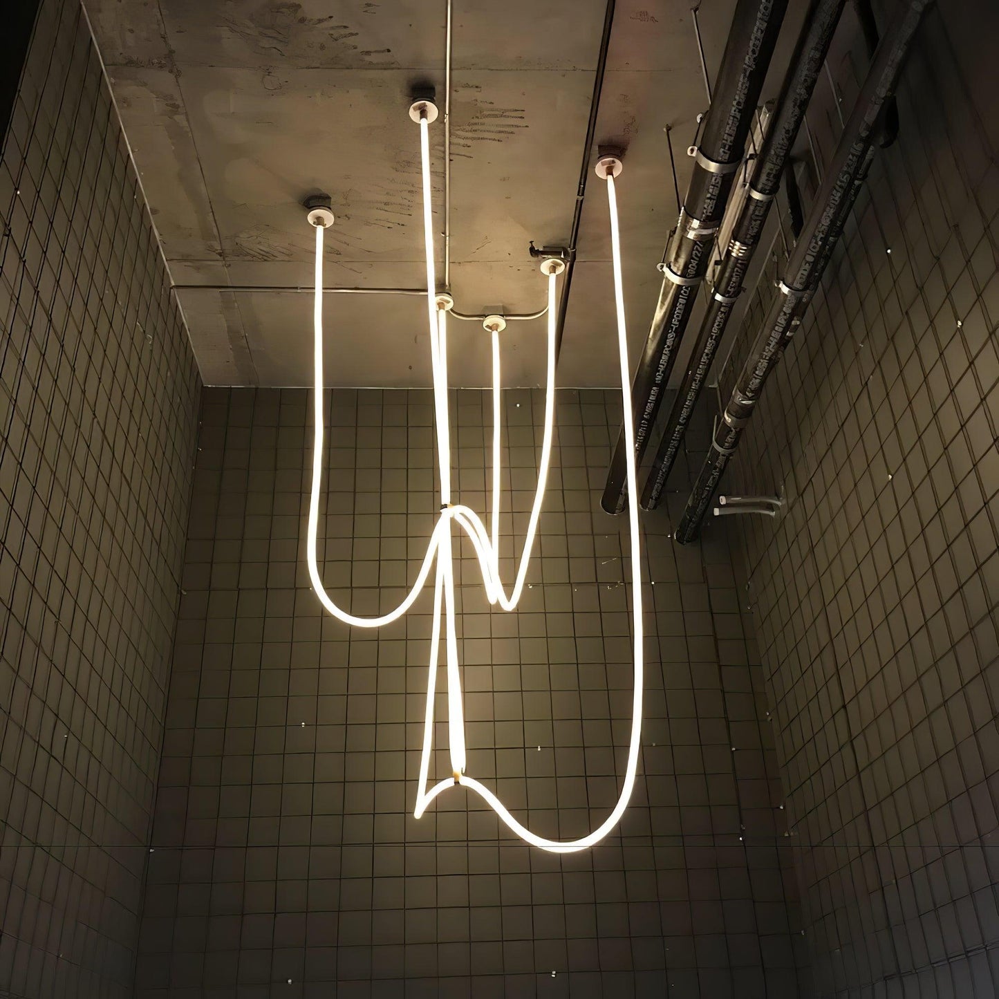 Flexible Curve Pendant Lamp